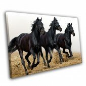 Три черных коня