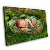 Малыш в траве