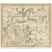 Celestial Atlas - Уранография - Единорог, Большая собака, Малая собака