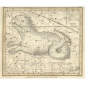 Celestial Atlas - Уранография - Кит
