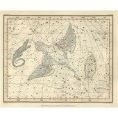 Celestial Atlas - Уранография - Лебедь, Лира, Ящерица