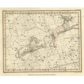 Celestial Atlas - Уранография - Рысь, Малый Лев