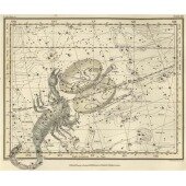 Celestial Atlas - Уранография - Скорпион, Весы
