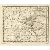 Celestial Atlas - Уранография - Уранография - Бык