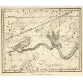 Celestial Atlas - Уранография - Ворон, Сова