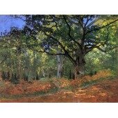 The Bodmer Oak, Fontainbleau Forest