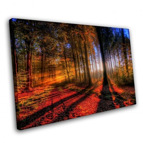 Постер с пейзажем, Багряный лес