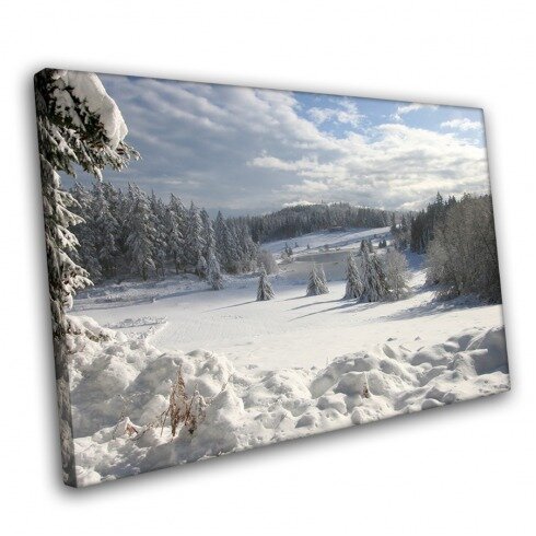 Постер с пейзажем, Литературная зима