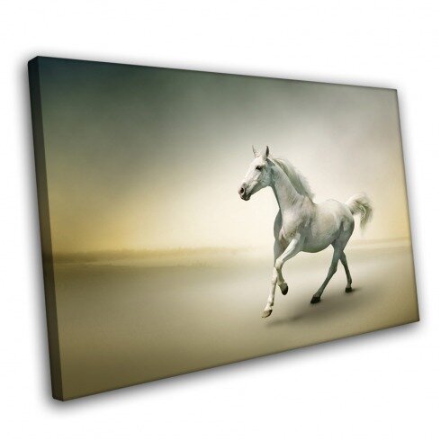 Постер с животными, Белая лошадь