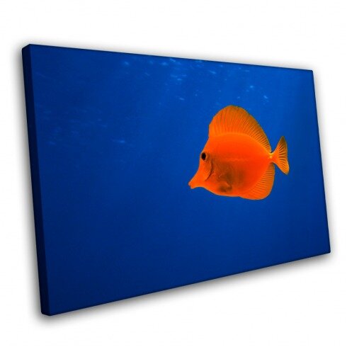 Постер для тур агенства, Оранжевая рыбка