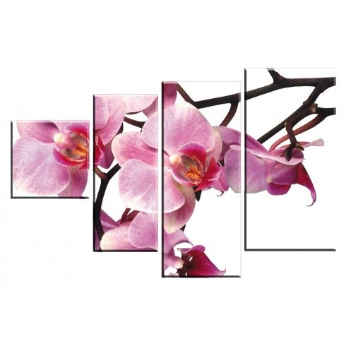 Модульная картина, Розовые орхидеи