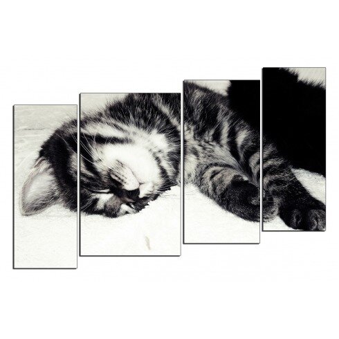 Модульная картина, Спящий котенок