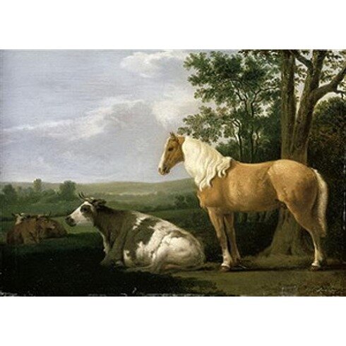 Картина Абрахам ван Калрает, Horse - Лошадь