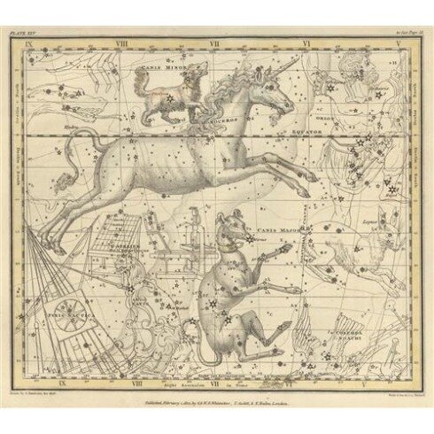 Картина Александр Джеймисон, Celestial Atlas - Уранография - Единорог, Большая собака, Малая собака