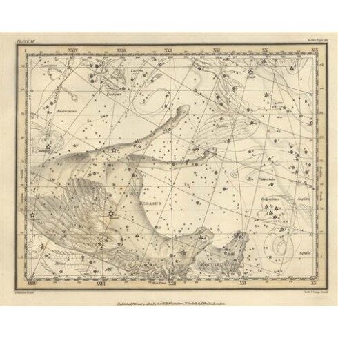 Картина Александр Джеймисон, Celestial Atlas - Уранография - Пегас