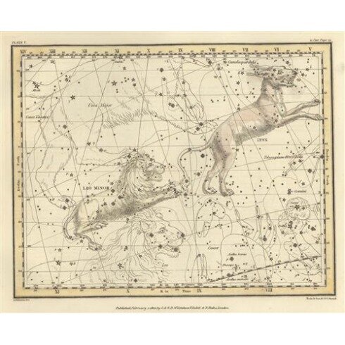 Картина Александр Джеймисон, Celestial Atlas - Уранография - Рысь, Малый Лев
