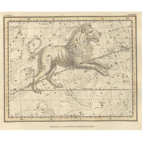 Картина Александр Джеймисон, Uranographia - Leo - Уранография - Лев
