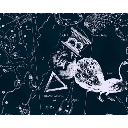 Картина Ян Гевелий, Uranographia - Pavo, Ara, Triangulum Australe - Павлин, Жертвенник, Южный Треугольник