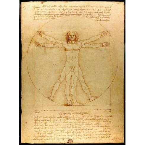 Картина Леонардо да Винчи, Витрувианский человек