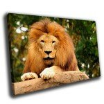 Постер со львом